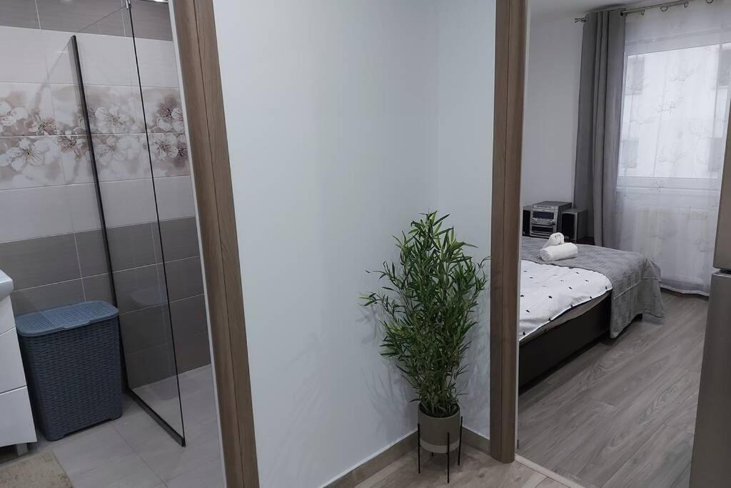 Hidden Apartment Miercurea Ciuc Εξωτερικό φωτογραφία