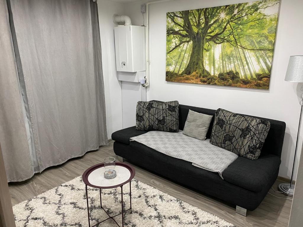 Hidden Apartment Miercurea Ciuc Εξωτερικό φωτογραφία